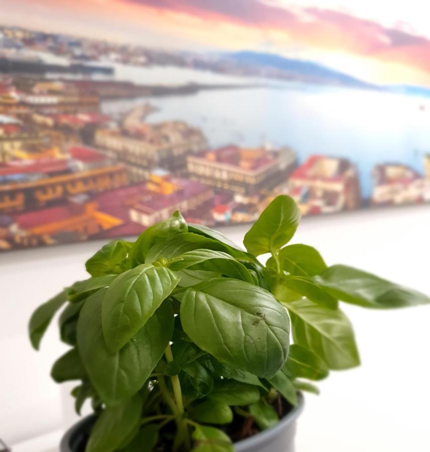 Gaisa Naples - Bed And Breakfast Екстериор снимка